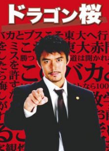 龙樱电视剧全集