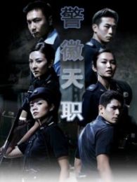 警徽天职电视剧全集