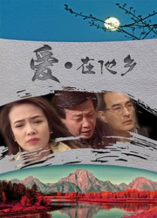 爱在他乡-电视剧全集-高清完整版在线观看-2345影视