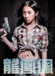 龙凤佩电视剧全集