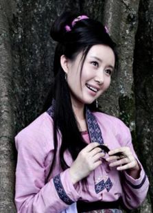 刘三姐（2010）