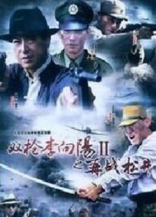 双枪李向阳2之再战松井电视剧全集