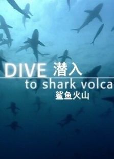 BBC：潜入鲨鱼火山