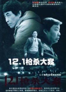 点击播放《12.1枪杀大案》