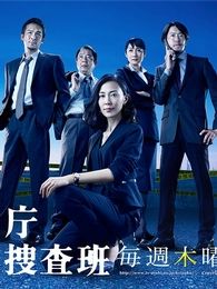 警视厅继续搜查班电视剧全集
