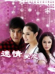 迷情爱恋电视剧全集