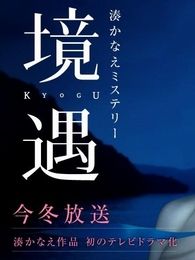 境遇电视剧全集