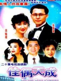 佳偶天成电视剧全集