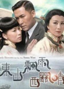 东山飘雨西关晴电视剧全集