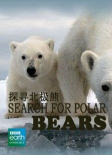 BBC：探寻北极熊