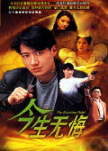 今生无悔电视剧全集