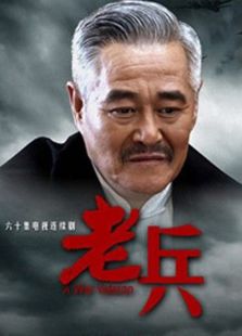 老兵精华版电视剧全集
