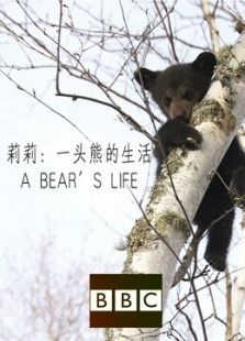 BBC：莉莉 一头熊的生活