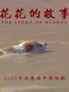 花花的故事