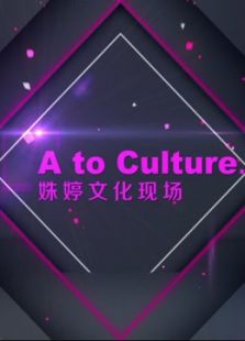 《姝婷文化现场》第一季