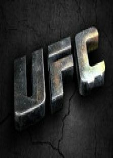 UFC终极格斗