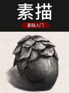 正在播放《自学素描素描基础入门教程绘画教程素描基础之线条的轻重