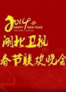 2015湖北卫视春晚