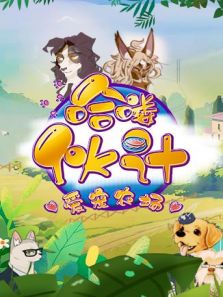 哈喽伙计