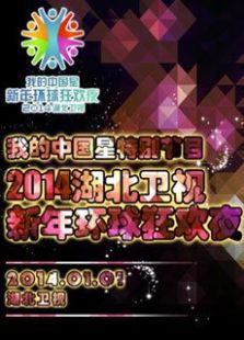 2014湖北卫视跨年（新年环球狂欢夜）