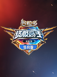 终极高手特约版