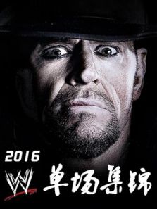 WWE单场集锦 2016