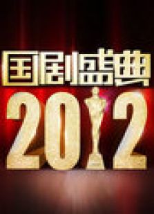 2013安徽卫视跨年晚会